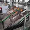 Circulating Water Chestnut Portulaca Ormosia Washer Conveyor Tremella Fruit Vegetables Clean Washing Machine 3