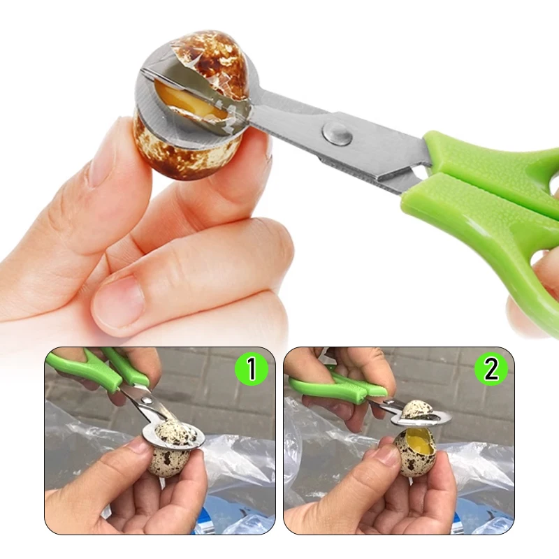 5/10Pcs Stainless Steel Bird Quail Egg Shell Scissors Durable Multifunction Kitchen Tools  Cigar Cutters Rust Resistant 3