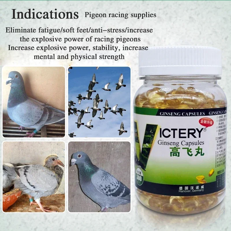 Pigeon racing to enhance explosive power eliminate fatigue quickly restore and return home 300 pigeon health products