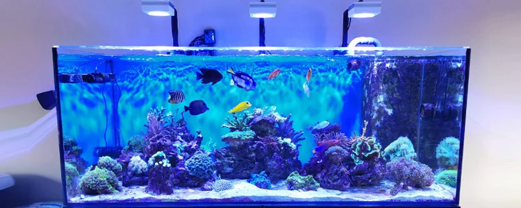 機器nano 水族館ライト52W,サンゴ礁水槽用のタッチコントロール付き Amazon.co.jp: ナノ led アクアリウム ライト- Sanrise Spectra