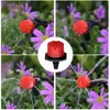 Garden Greenhouse Automatic Misting Cooling Irrigation Kit 45/60/80/100W Self-Priming Pressurize Water Pump Drip Watering System 5