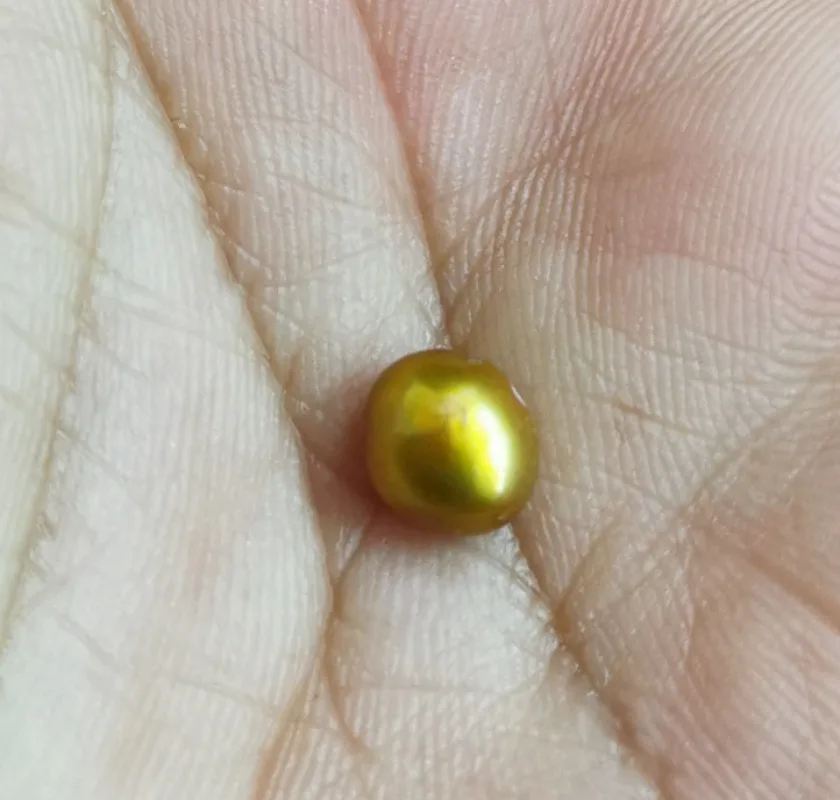 Around 7.167x4.93mm champagne gold bottom loose pearl full drilled for necklace bracelet pendant earring