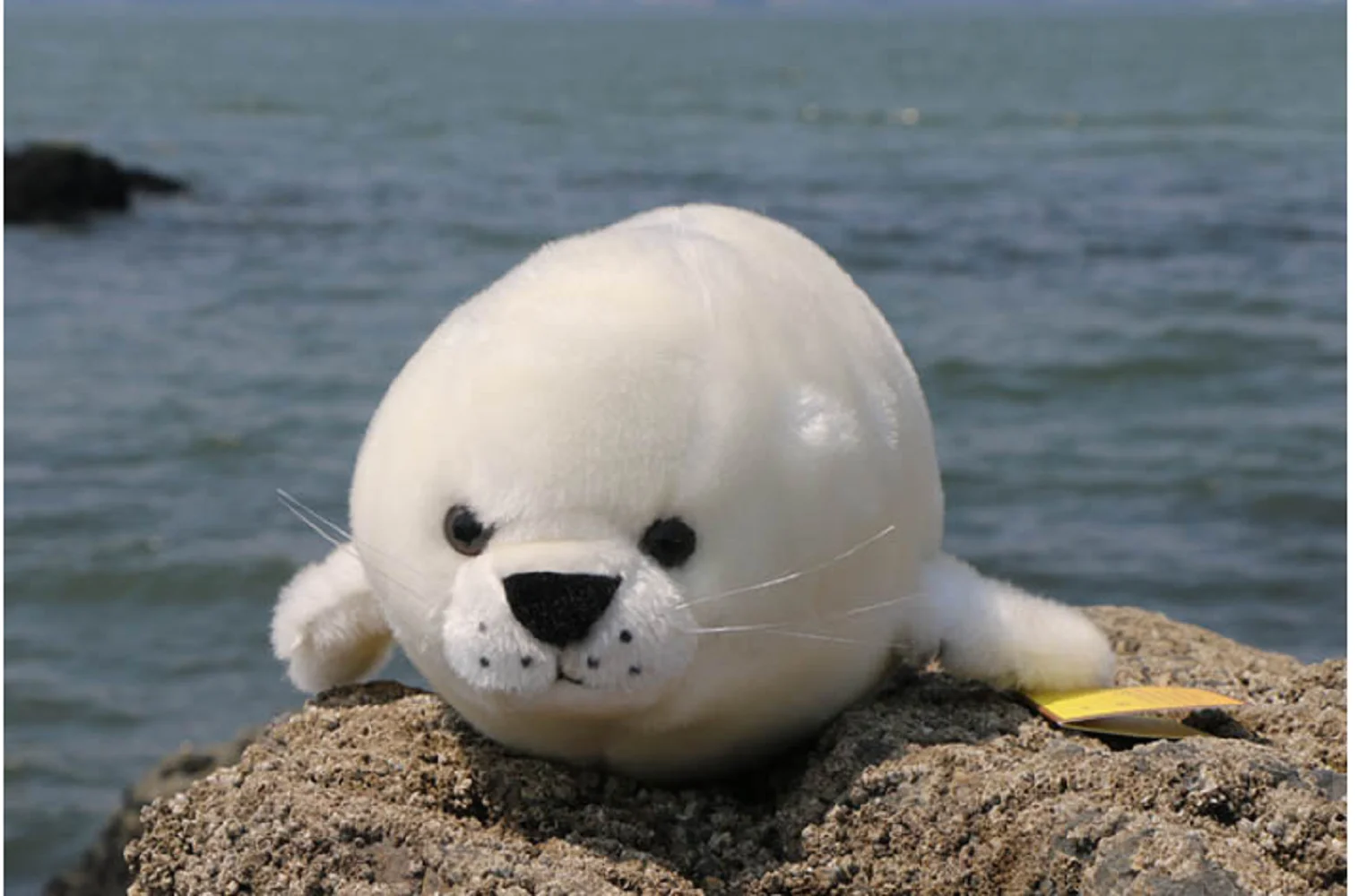 big-plush-high-quality-seal-toy-lovely-white-simulaiton-seal-doll-about-73cm