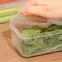 Fresh Box Refrigerator Storage Boxes Scallions Food Container with Lid Cold Crisper Sealed Kitchen Fresh Fruit Fridge Organiser 3