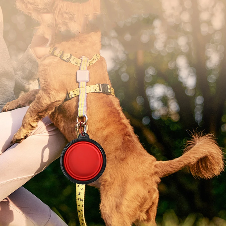 650ML Folding Black Frame Bowl with Keychain Pet Bowl Portable Travel Bowl Convenient Cat Bowl Not Easy to Deform Folding Bowl