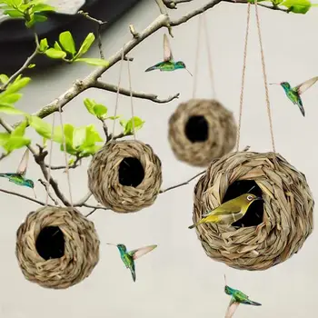 Hummingbird Natural Grass Ball Shape Bird Nest