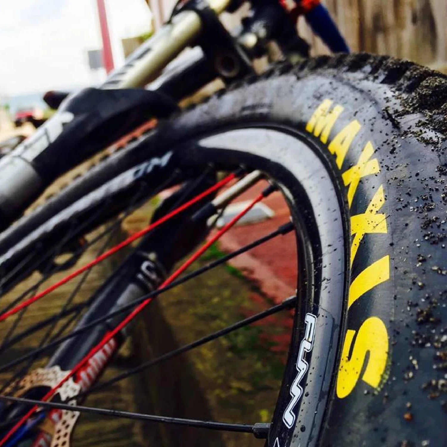 MAXXIS CrossMark II Bicycle Tire Wire MTB Bike Tires