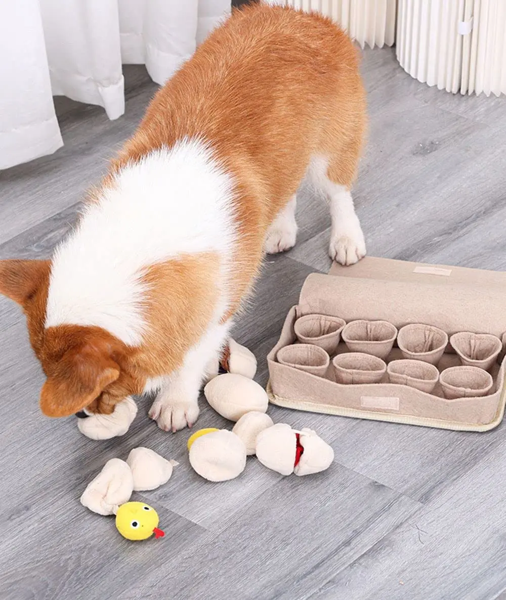 Dog Snuffle Mat – Slowtonglobal