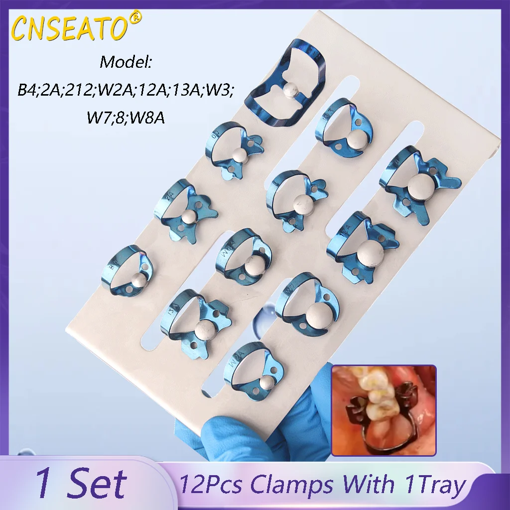 Kit De Dique De Goma Para Odontología - Incluye Pinzas, Perforador, Clips Y Modelo De Dientes, Acero Inoxidable