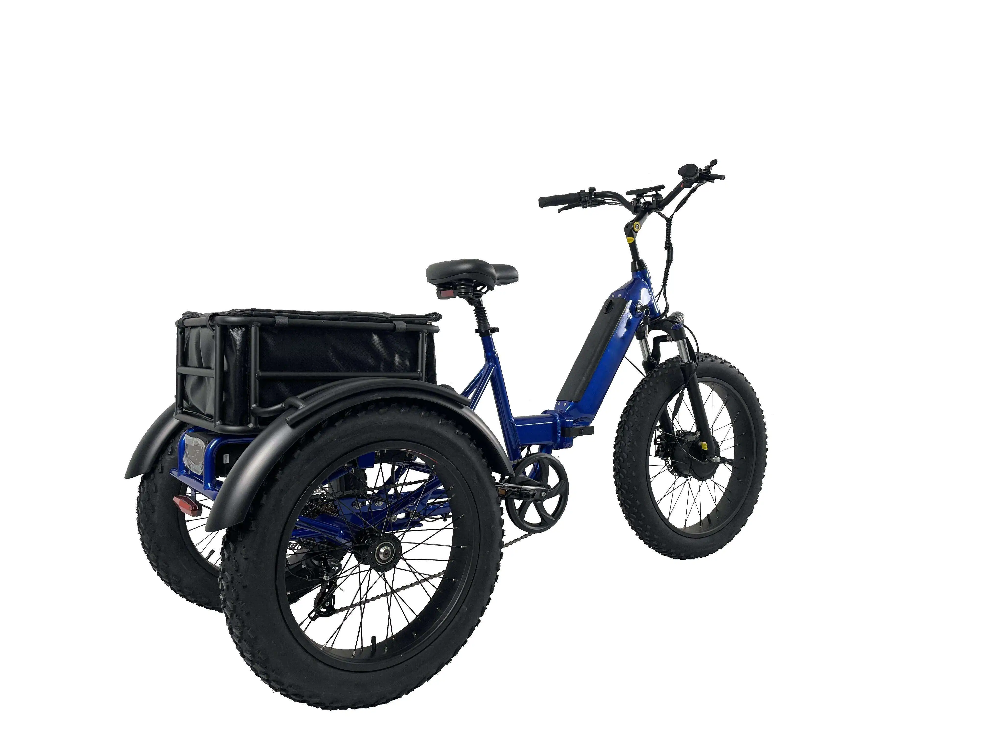 24-Zoll-Elektro-Dreirad, fetter Reifen, 3 Räder, elektrisches Fahrrad, Fracht, elektrisches Dreirad 1