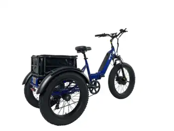 24-Zoll-Elektro-Dreirad, fetter Reifen, 3 Räder, elektrisches Fahrrad, Fracht, elektrisches Dreirad 1