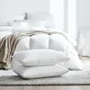 Down Pillow 100% White Goose Down/Feather Pillow Five-star Hotel Goose Feather Pillows Single Healthy Pillow Orthopedic Pillows 5