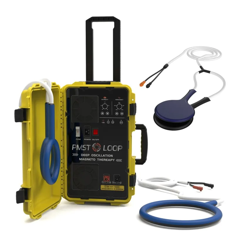 Pemf Therapy Pmst Loop Compreso Butterfly Fly Loop E Pad Per La Riparazione Dell'Osso