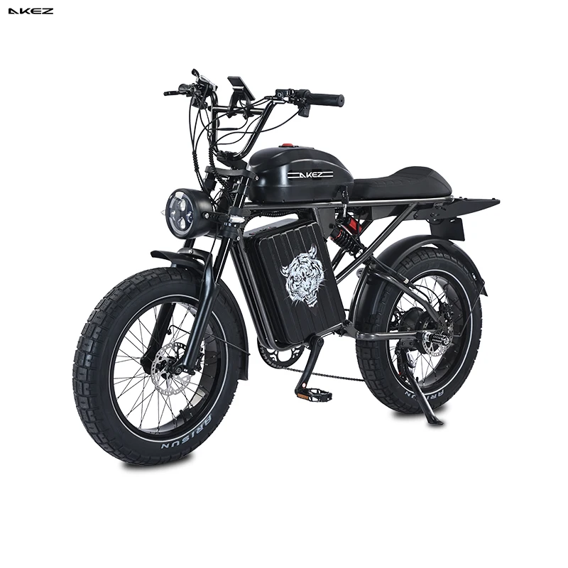 20 Inch Disc Brake Electric Lithium Battery LCD Display Fatbike Adults 48V 1500W 26Ah new model shipped from factory