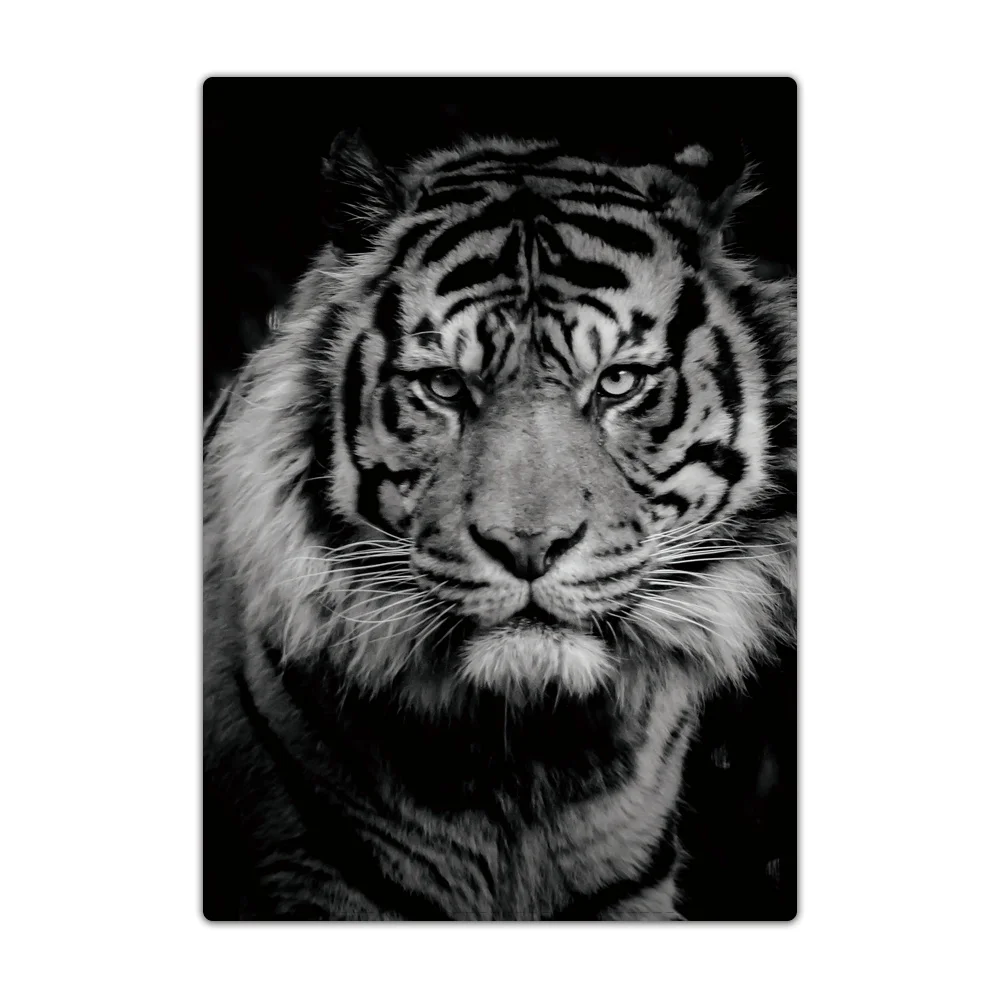 Рисунок 4 - Обложка для паспорта для мужчин и женщин