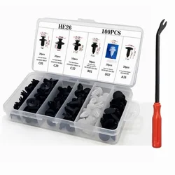 Comprehensive 800-Piece Car Fastener Clip Kit - Rivet, Retainer, and Trim Panel Repair Set (100 Pcs with Tool)