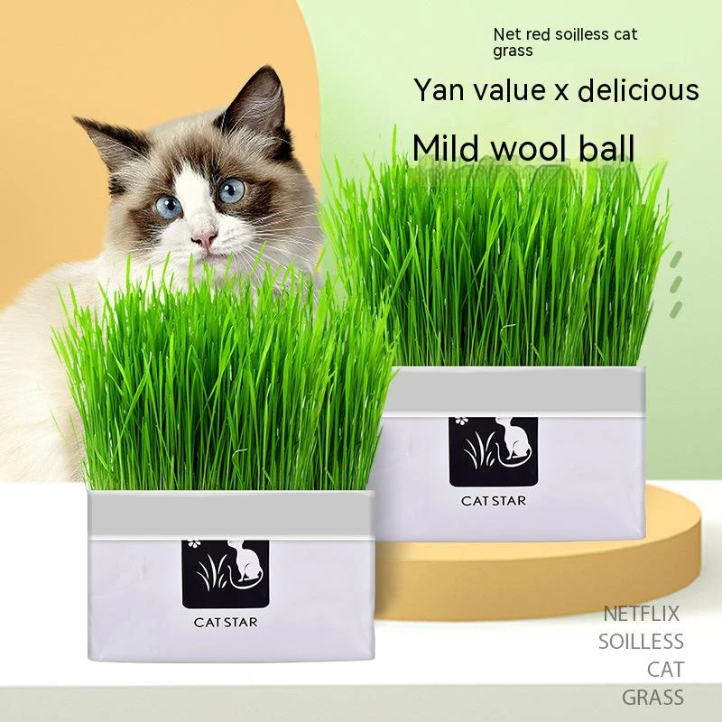 Pet Cat Grass Pot Hydroponics Set Cat Grass Snack Ball Balls Cats