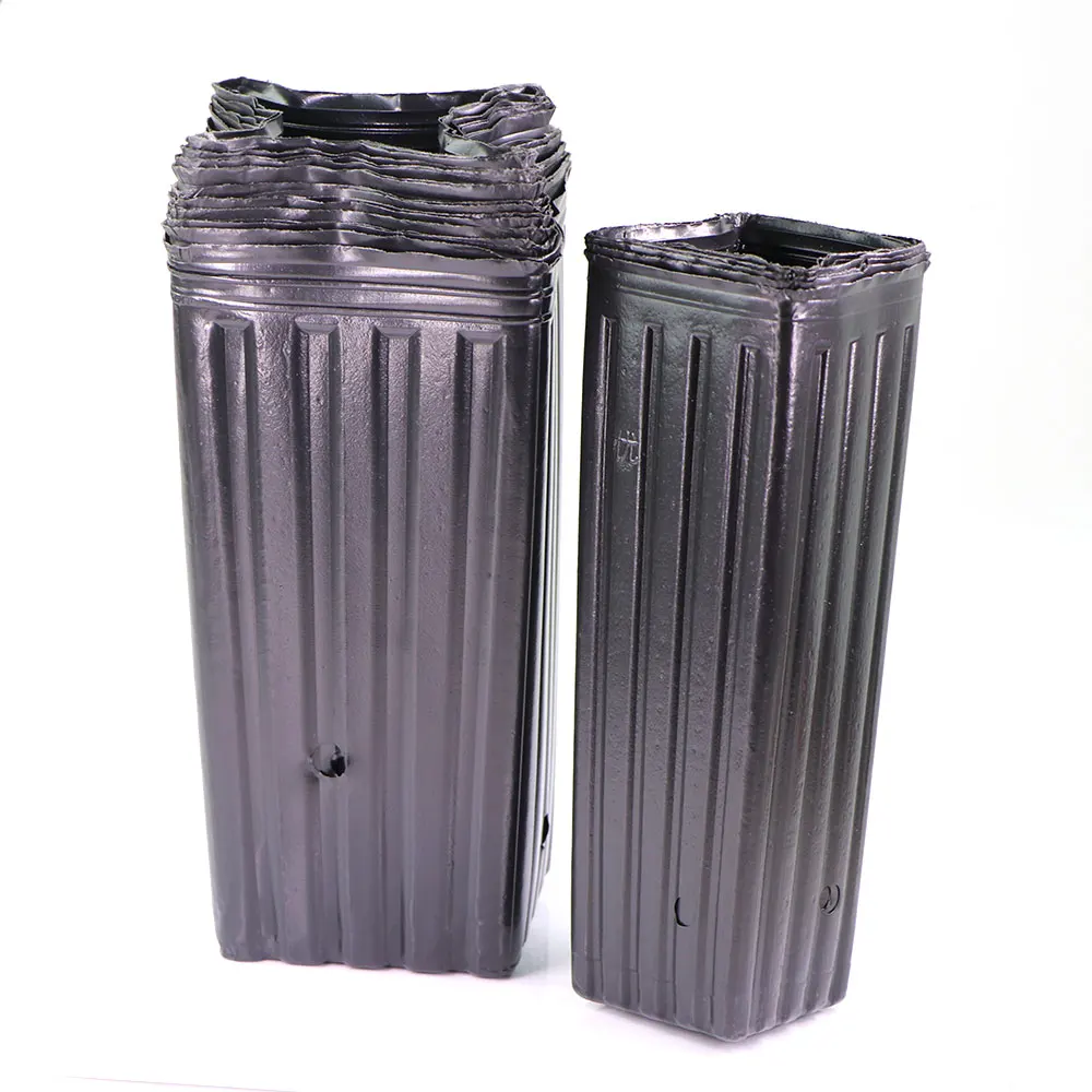 Slide image 2695749587a546d1a126ab1142208eee