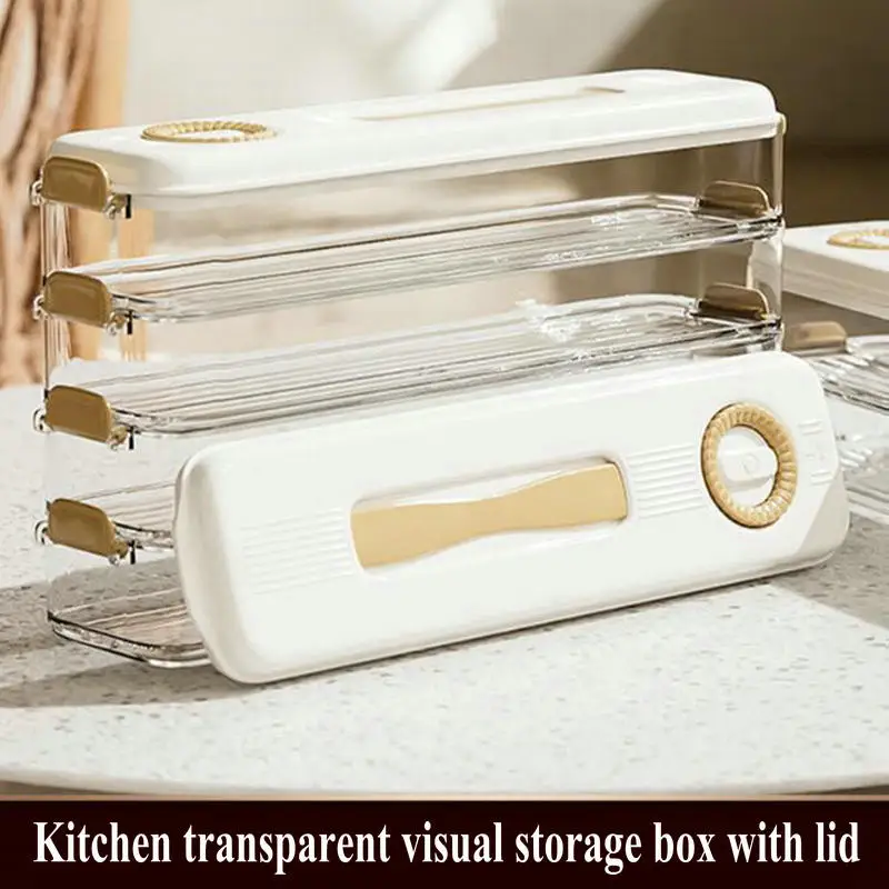 Kitchen multifunctional crisper with lid Food grade refrigerator storage box Frozen food sealed box Water dumpling box