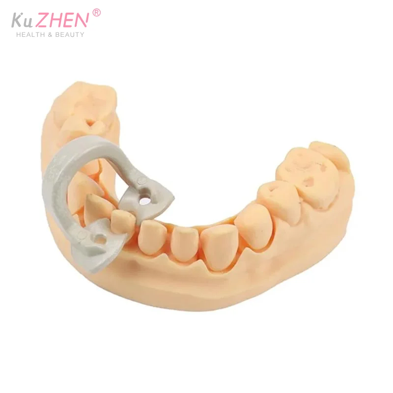 고품질 4개입/박스 치과용 댐 클립 레진 배리어 클램프 고무 섹셔널 매트릭스 밴드 어금니 클립 치과용 러버 댐 클립