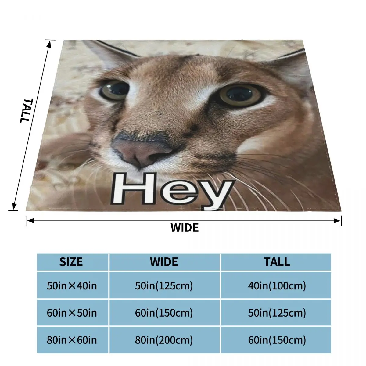 ū �÷��� ���� ������ ���, ���� ��� ���� ���� ħ�� �� �ٱ�� �淮 ������ ���