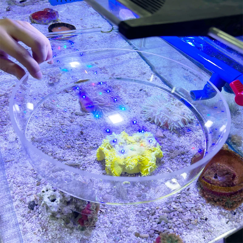 Acrylic aquarium surface coral observation mirror photography mirror anti-interference magnifying glass,aquarium observation mirror