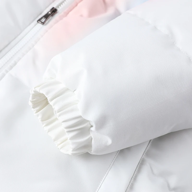 New Autumn And Winter Fashion Versatile Standing Collar Down Cotton Jacket For Youth Leisure Loose Gradient Thickened Warm Coat