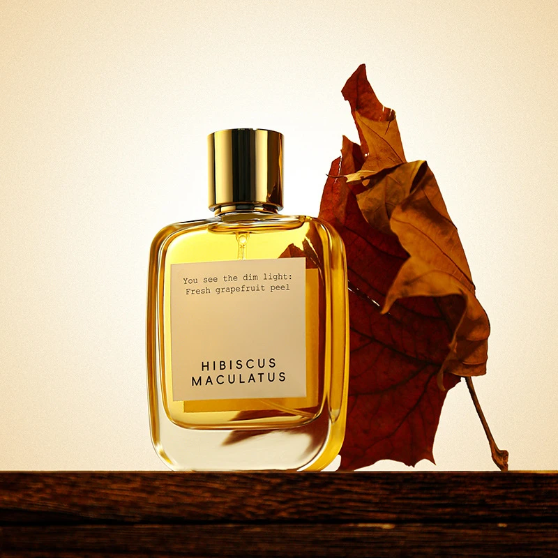 Romantischer Luxus-Duft: Zitrus, Feige, frische Grapefruit, Sandelholz – Charm Allure Damen-Dating-Eau de Toilette, 50 ml_voghion.com