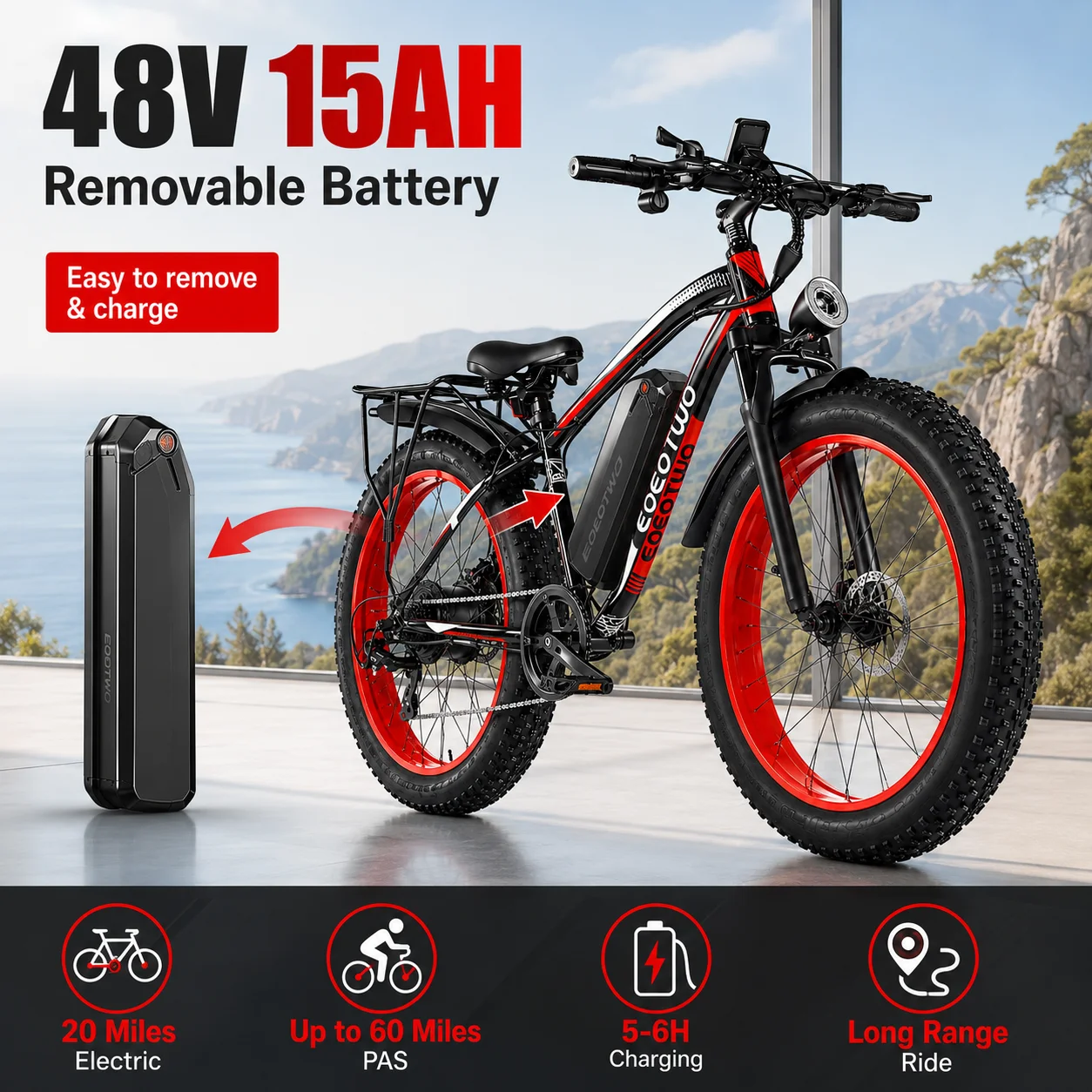 Fat Tire Electric Bike 5