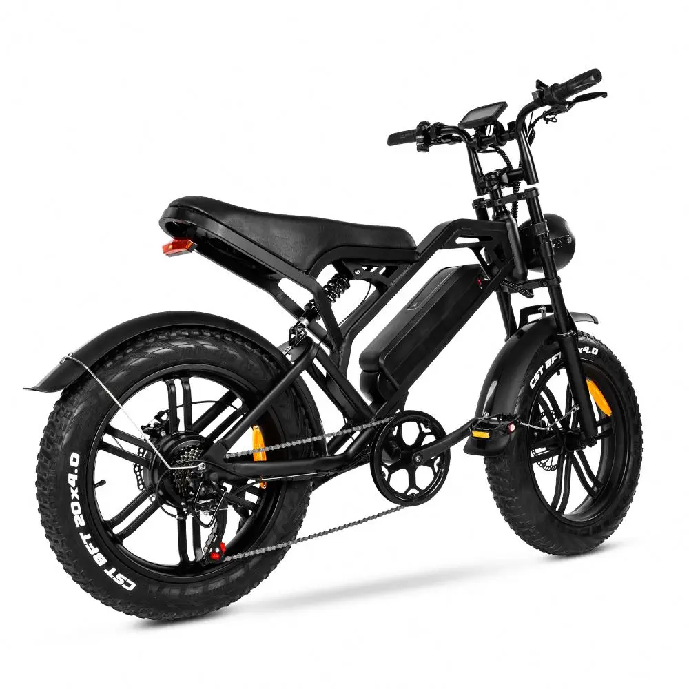 Buy Fasticycle Mountain Fatbike Fat Tire Ebike Eu Cheap 20inch Steel Lithium Battery LCD Displaycustom