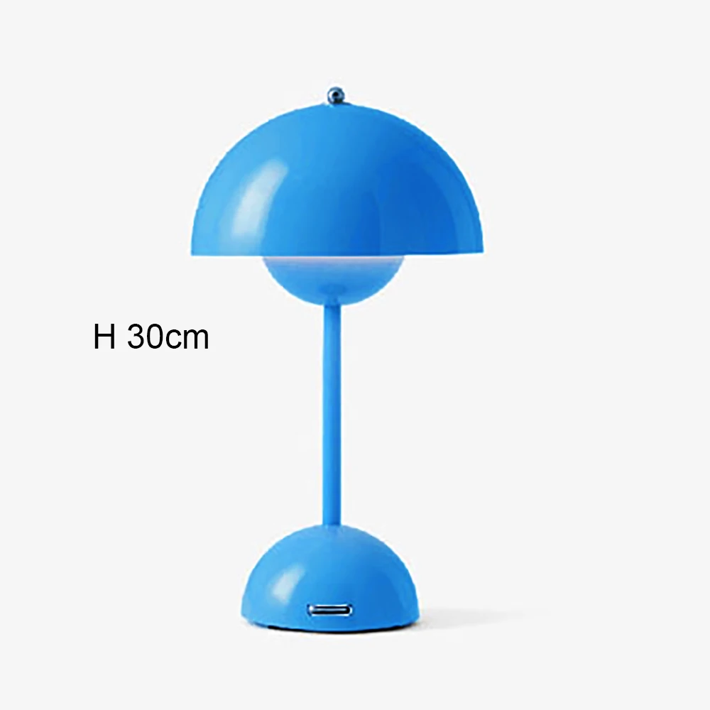 rechargeable blue
