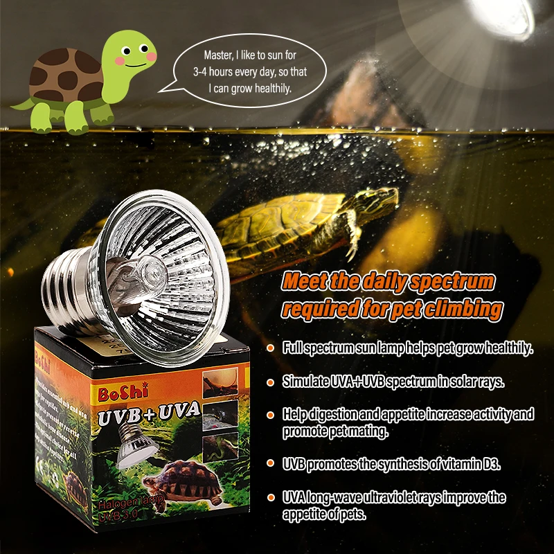 UVA+UVB 3.0 Reptile Lamp Holder Set with Clip-on Thermometer Hygrometer Lizard Turtle Tortoises Basking Heating Bulb 220V 6