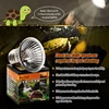 UVA+UVB 3.0 Reptile Lamp Holder Set with Clip-on Thermometer Hygrometer Lizard Turtle Tortoises Basking Heating Bulb 220V 6