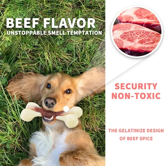 Bone Chew Toy 2