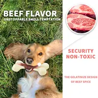 All For Paws Dogs Bone Chew Toys Nearly Indestructible Non-Toxic Anti-bite Aggressive Chewers Super Nylon Bone With Beef Flavor 2