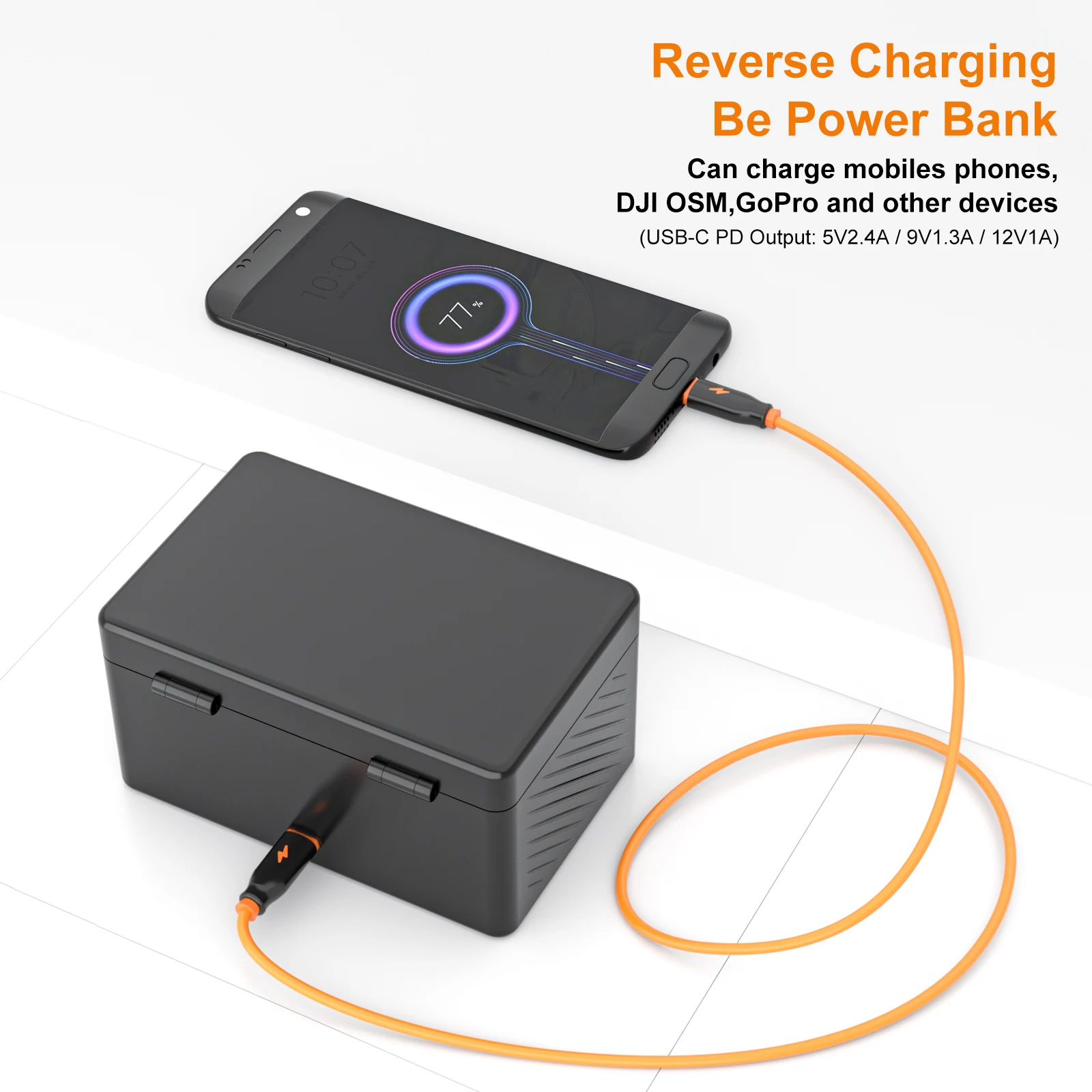 RODE Wireless GO II 充電ケース ラベリアマイク ケーブル 【公式通販】