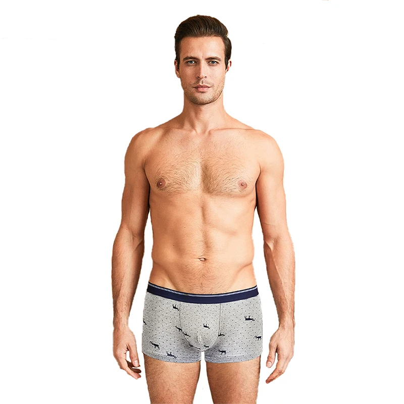 4pcs men's cotton underwear breathable boxershorts
