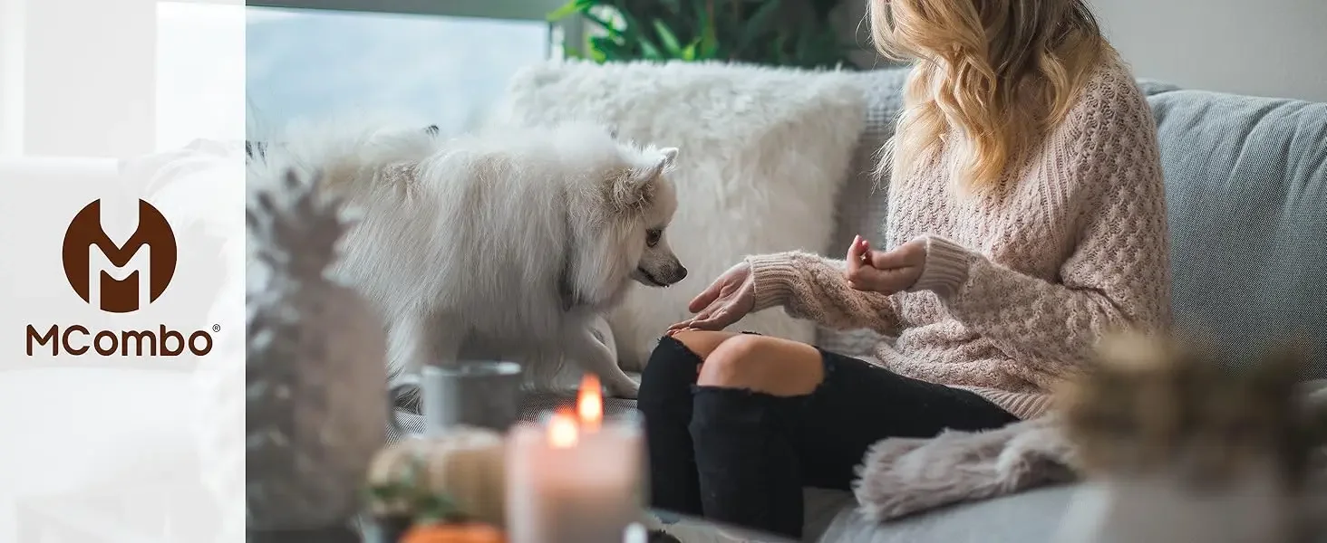 dog furniture