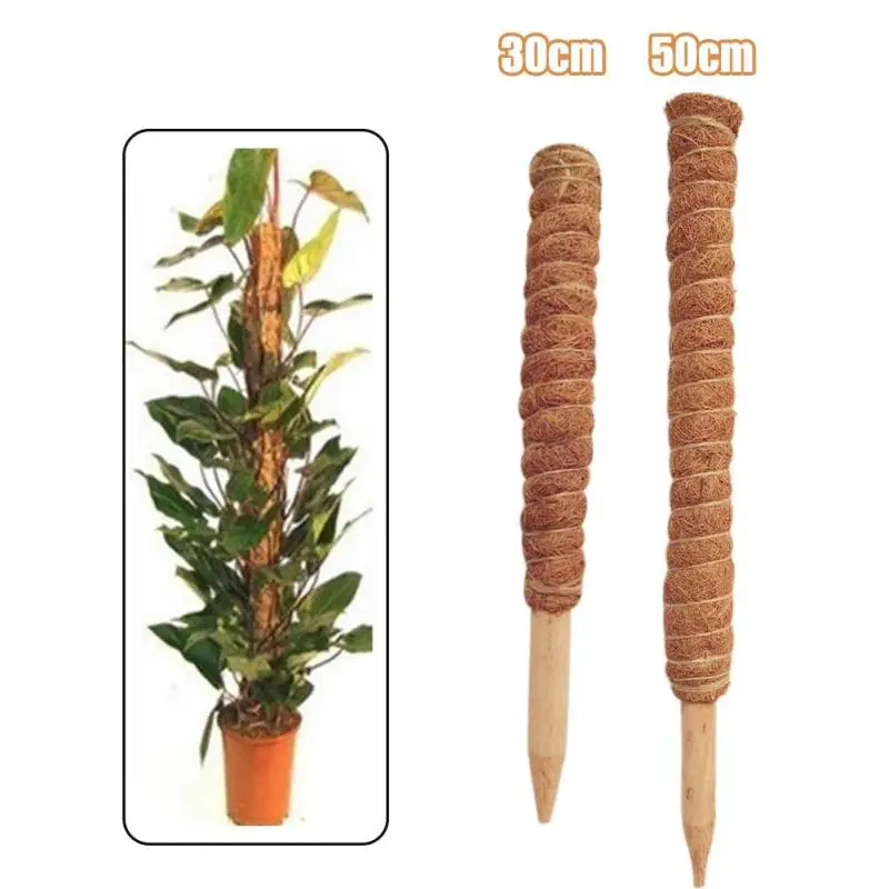 50cm Plant Climbing Coir Totem Pole Safe Gardening Coconut  Stick For Climbing Plants Vines And Creepers Plant Support