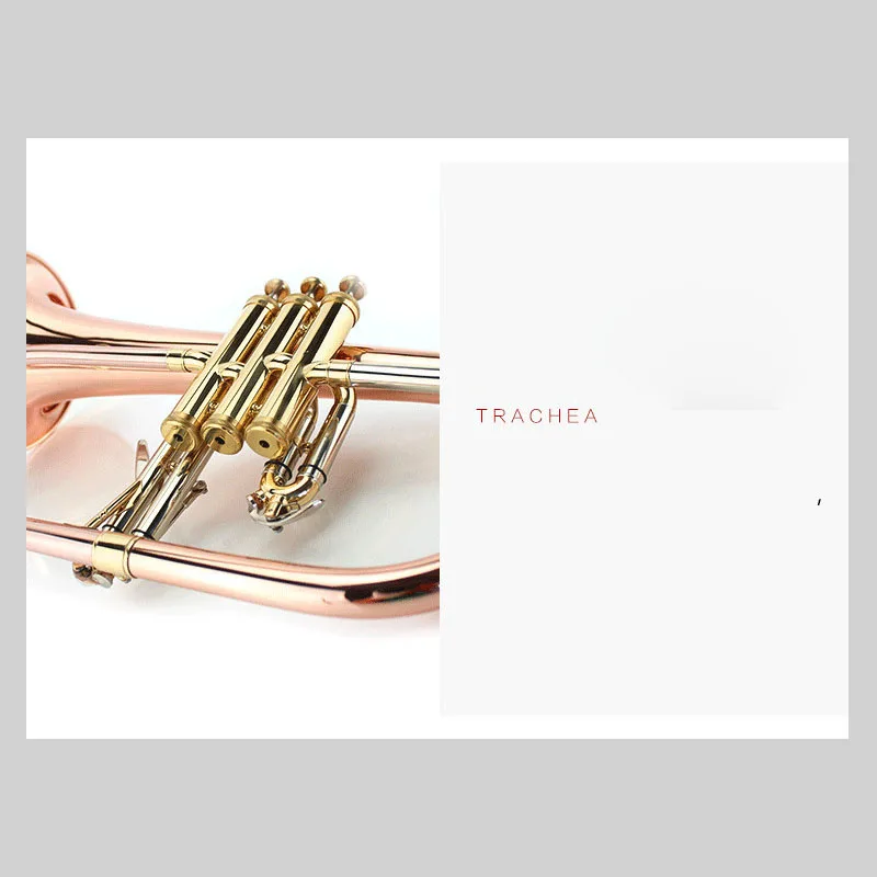 Slide image b05f5df8d786409bb0b3d35341c4d8d6