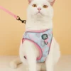 New Arrives Adjustable Soft Mesh With Fashionable Design Pet Harness And Leash Set 3