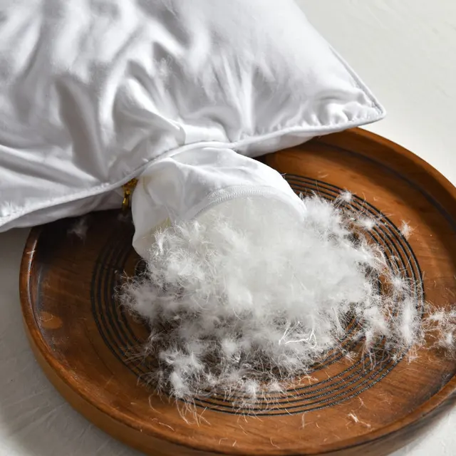 겨울철 밤새 따뜻함과 안락함: Shanhao 거위/오리 다운 이불