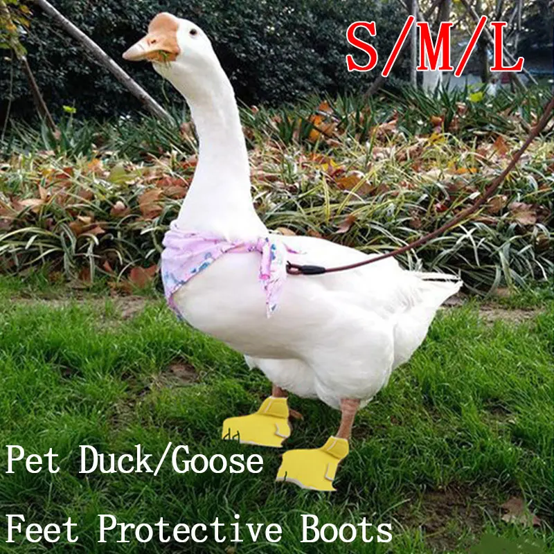 Pet Duck Boots Protect Soles Creative Goose Kohl Duck Shoes Soles Non-slip Pet Grooming Accessories