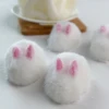 2024 Squishy Kawaii Handmade Silicone Mini White Rabbit Flocked Snow Powder Bunny Soft Pendant Girl Cute Birthday Gift Kids Toys 3