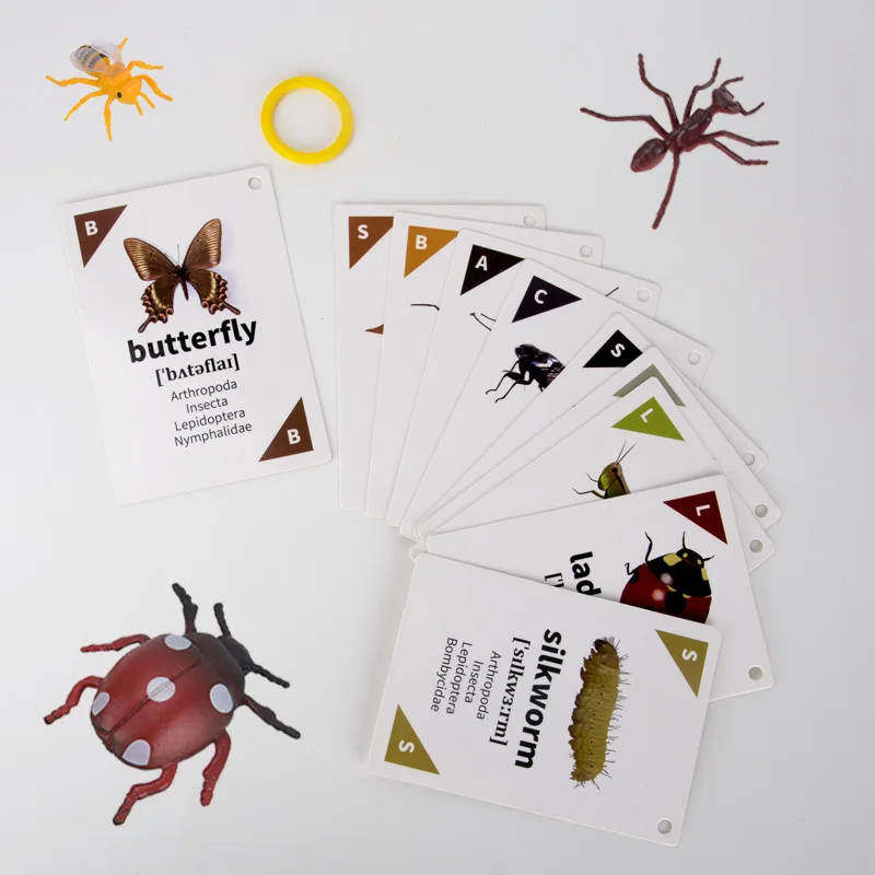 Children's Early Education Animal Insect Cognitive Card