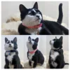 Moon and Star Cat Collar，Pets Collar with Bell Pendant - A Fashionable Safety Cat Accessory 5