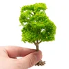 1Pcs Diy Simulation Wire Tree Model 10-15CM Tree Trunk Materials Train Railway Sand Table Scene Plants Layout Diorama Kit 4