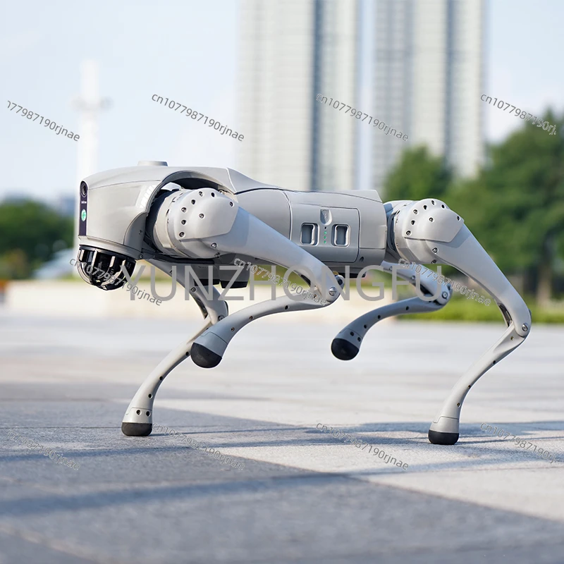 Go2 Robot Dog Adult Limb Robot Integrating AI