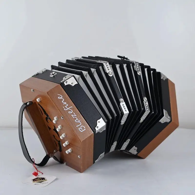 Accordéon, Professionnel 20 boutons Accordéon Concertina Pour Enfants /  Adultes, Accessoire d'instrument de musique (vert)