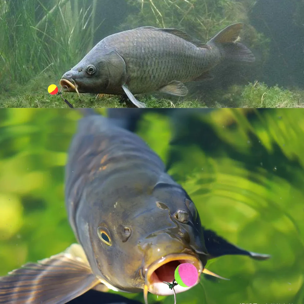 30 pop up boilies MNFT pour pêche à la carpe - appâts flottants deux tons avec boules de mousse